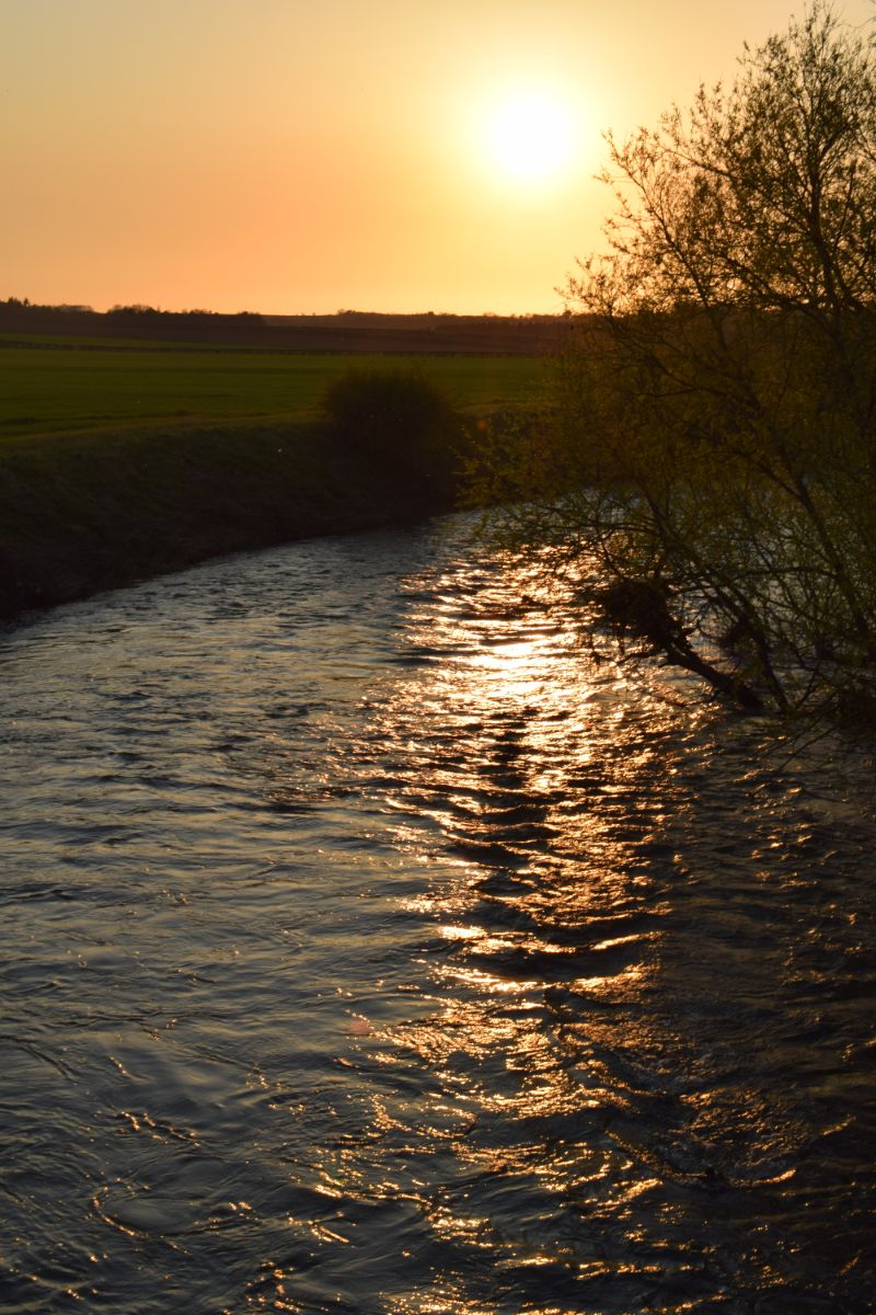 The River Ouse, Stafford Bridge