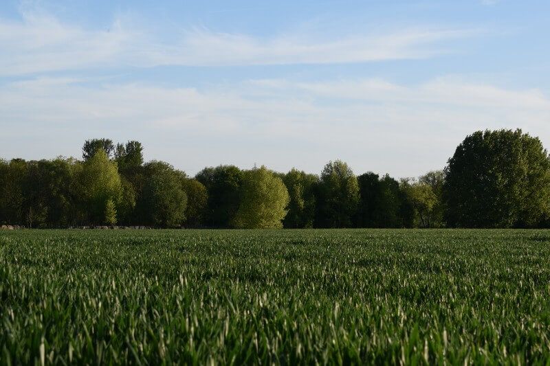 Field with public footpath next to River Ouse