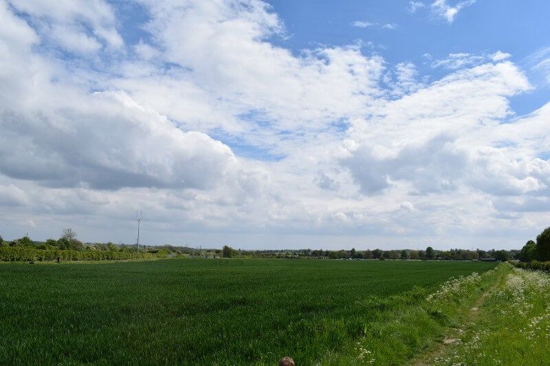 Field of identified site